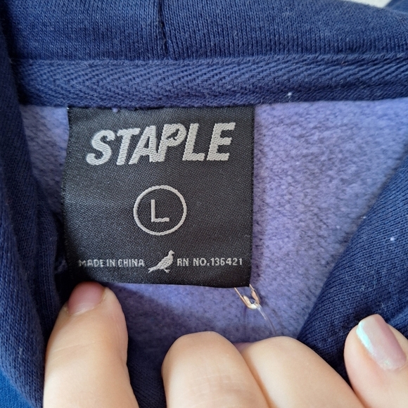 NWT Staple Somerset Tonal Colorblock Hoodie Pullover Mens size L - Picture 2 of 7